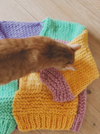 Rainbow Cardigan Beginner Knit Kit
